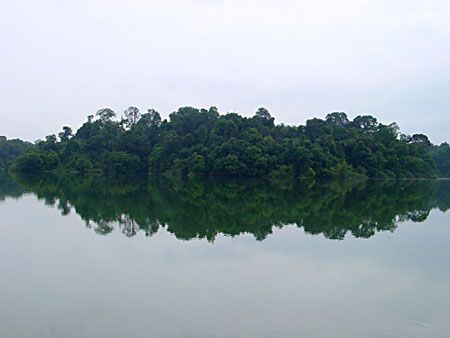 macritchie_002