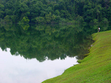 macritchie_004