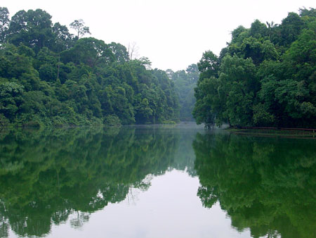 macritchie_006