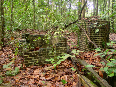 macritchie_018