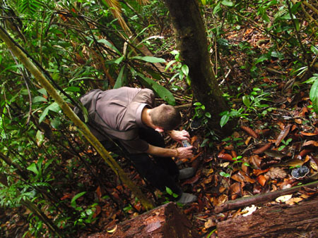 macritchie_028