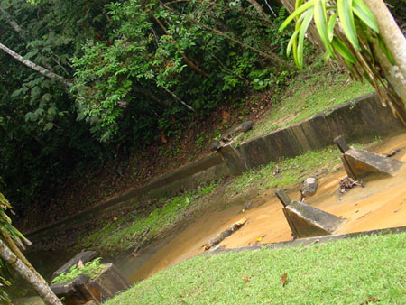 macritchie_030