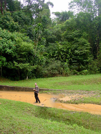 macritchie_032