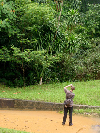 macritchie_033