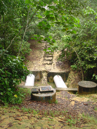 macritchie_043