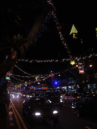 orchard_048
