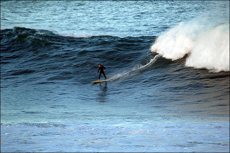 sandon_point_129