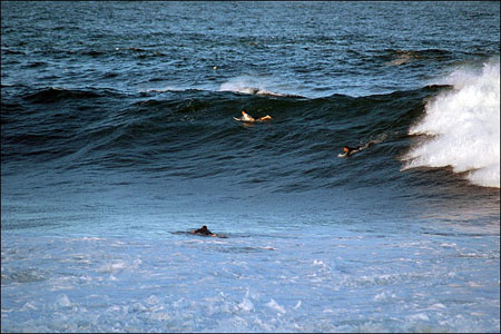 sandon_point_131