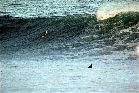 sandon_point_138
