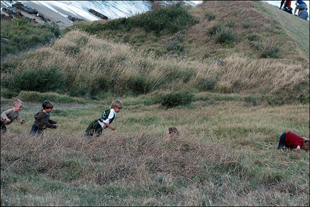 sandon_point_155