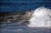 sandon_point_067