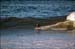 sandon_point_114