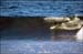 sandon_point_116