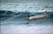 sandon_point_134