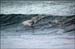 sandon_point_135