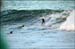 sandon_point_137