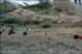 sandon_point_155