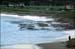 sandon_point_183