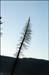 sandon_point_185