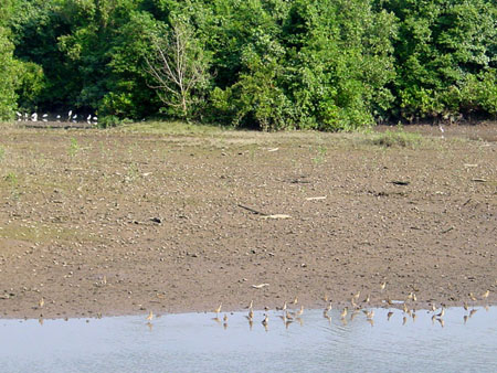 Sungei_Buloh_02