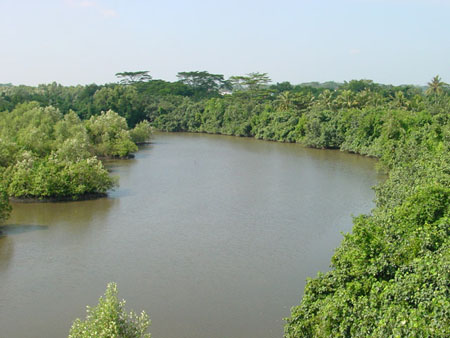 Sungei_Buloh_10