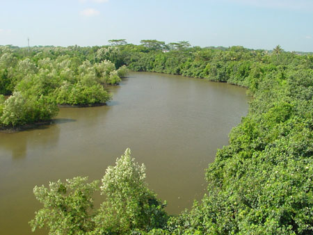 Sungei_Buloh_13