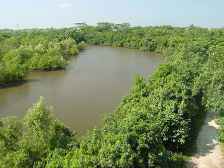 Sungei_Buloh_15