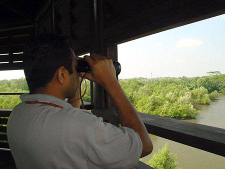 Sungei_Buloh_17