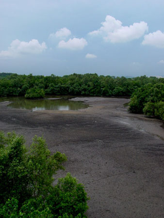 Sungei_Buloh_23