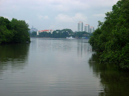 Sungei_Buloh_28