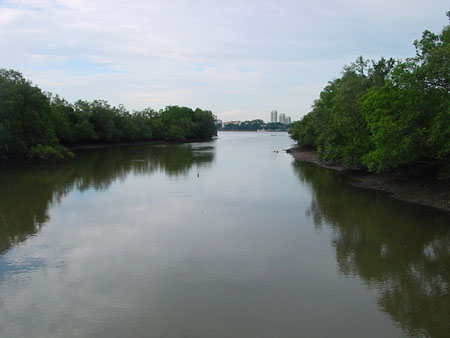 Sungei_Buloh_32