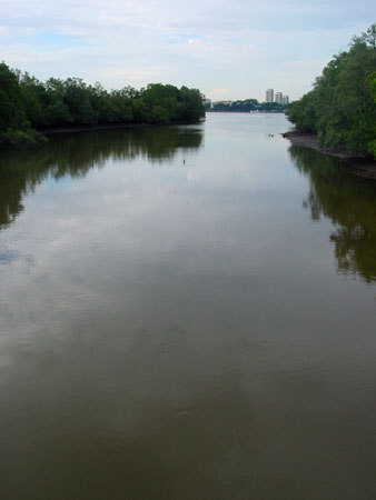 Sungei_Buloh_33