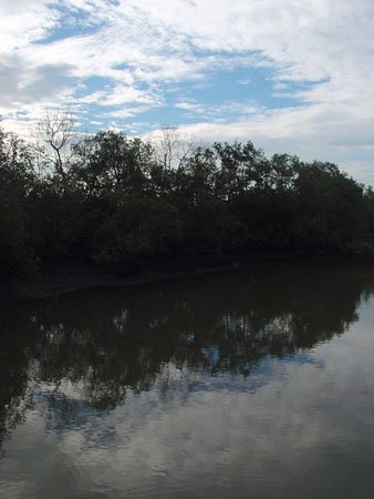 Sungei_Buloh_35