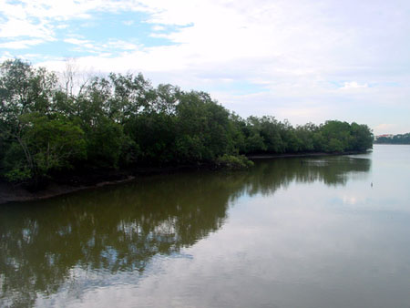 Sungei_Buloh_36