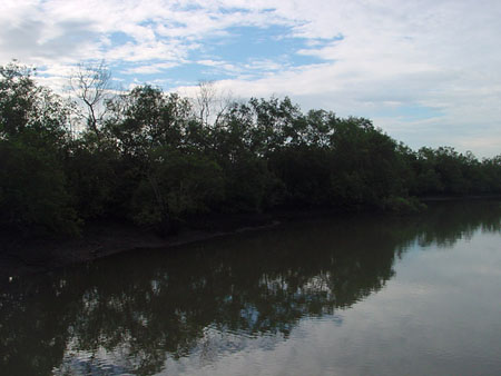 Sungei_Buloh_37