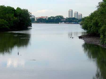 Sungei_Buloh_39