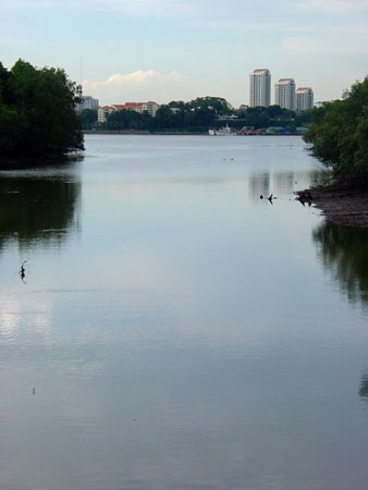 Sungei_Buloh_40