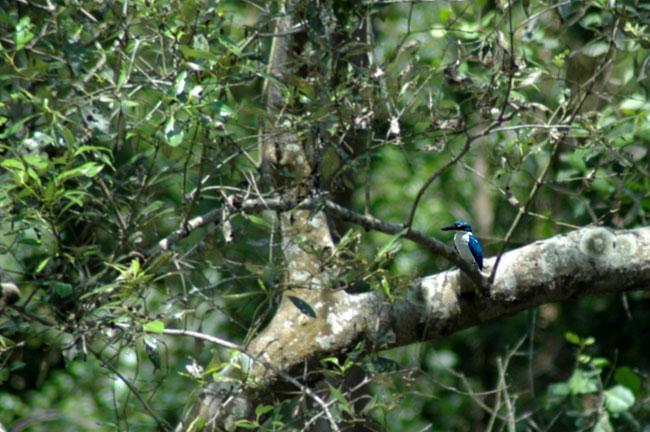 sungei_buloh_01