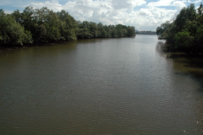 sungei_buloh_23