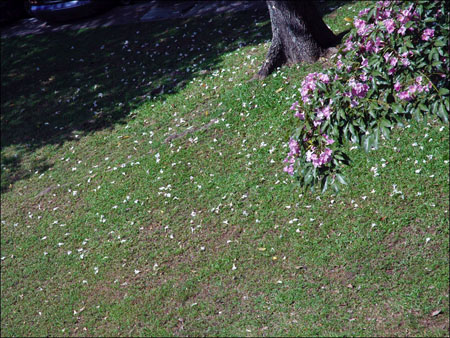 digicam_06