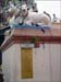 chinatown_1