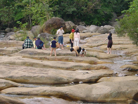taiwan_24_jan_28