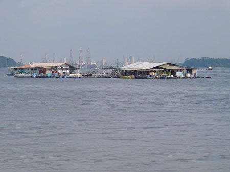 pulau_ubin_11