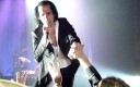 Nick Cave live in 2013
