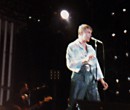 David Bowie Sydney Showgrounds 1978 Live