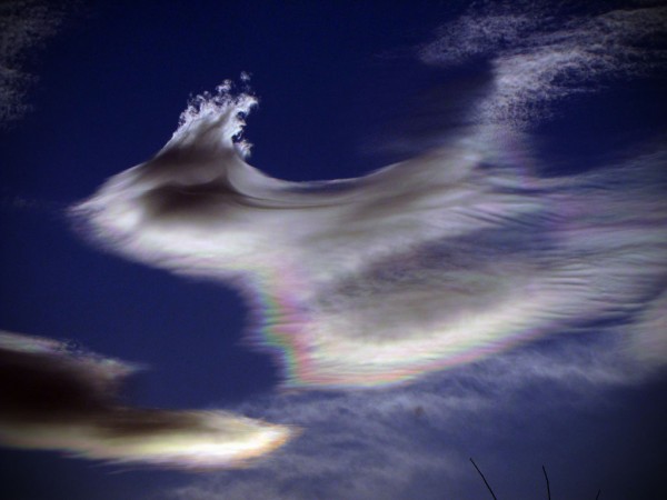 Nacreous cloud evolves into a wave