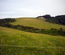 Coastal walk Kiama NSW