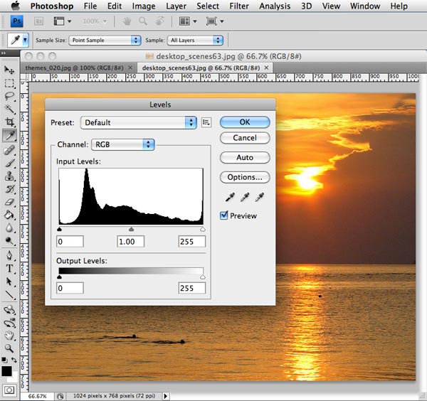 Adjusting levels in Photoshop CS4