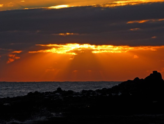 Sunrise at the boneyard