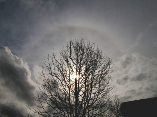 Halo around sun